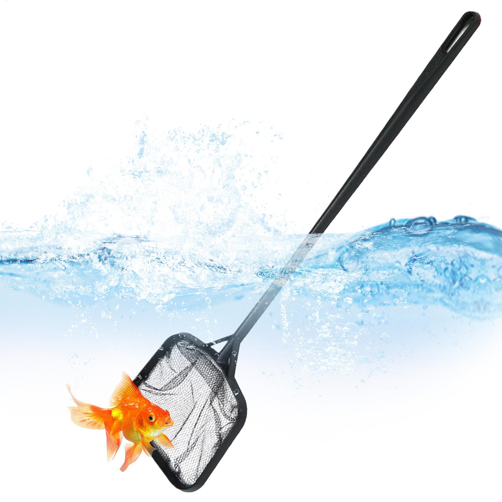 ตาข่ายทำความสะอาดสระว่ายน้ำแบบ - Marine Aquarium บทวิจารณ์และราคา