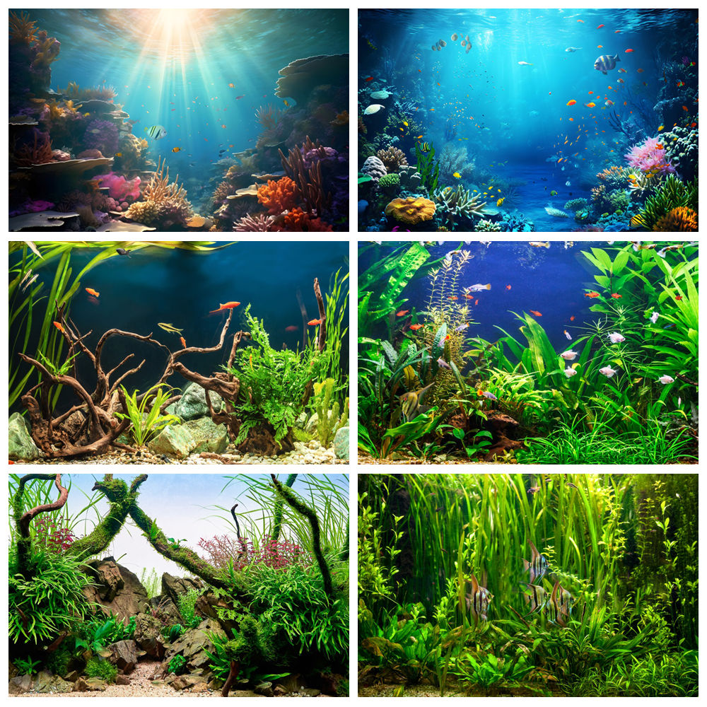 ภายใต้ทะเลก้นทะเลโลกการถ่ายภาพ - Aquarium Marine World บทวิจารณ์และราคา