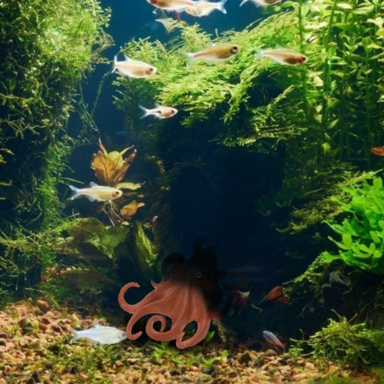 1 ชิ้น ปลาหมึกจำลอง สัตว์ทะเลพ - Ocean Aquarium บทวิจารณ์และราคา