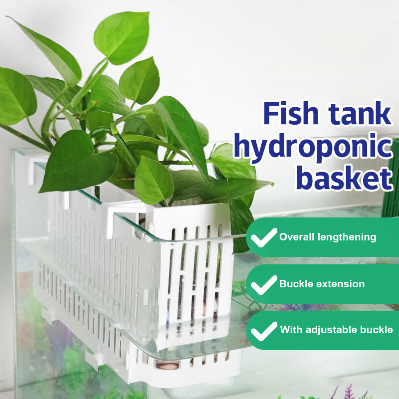 【F】กระถางแขวนตู้ปลา ที่วางต้นไ - Marine Aquarium บทวิจารณ์และราคา